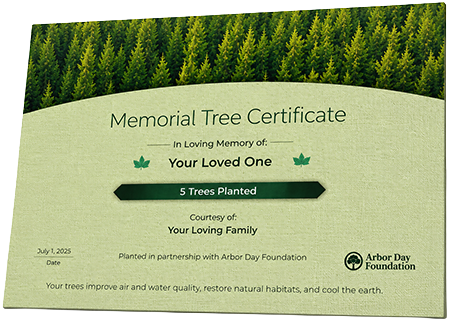 Plant Trees in Memory of Lynn T. Lett